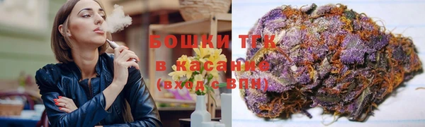гашиш Богданович