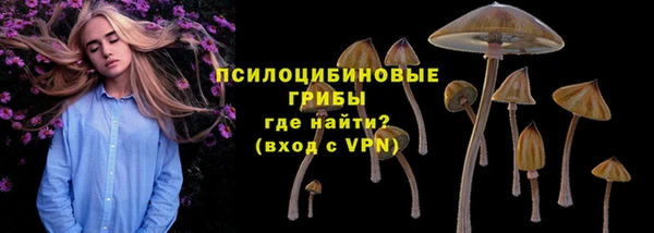 герыч Богородск