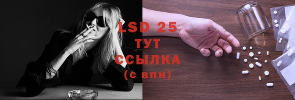гашиш Богданович