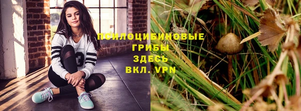 гашиш Богданович