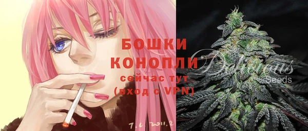 прущая мука Богородицк
