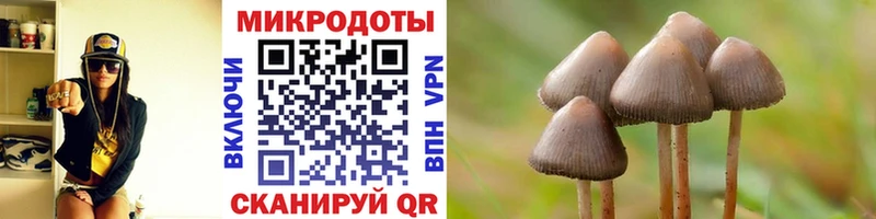 Псилоцибиновые грибы Cubensis  Малая Вишера 